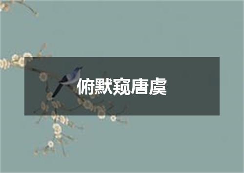 俯默窥唐虞