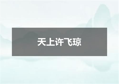 天上许飞琼