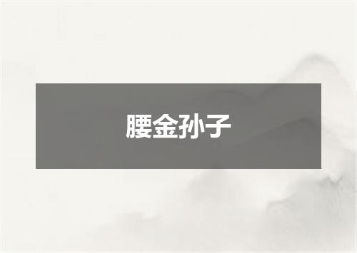 腰金孙子