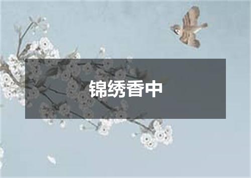 锦绣香中