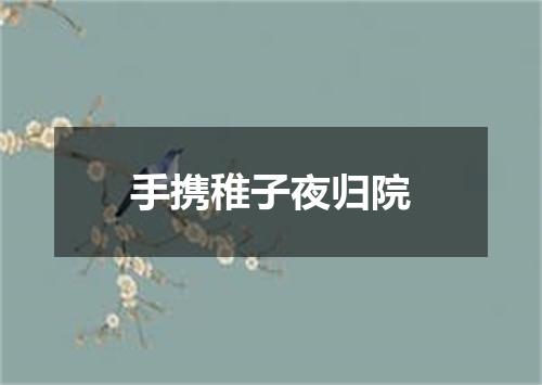 手携稚子夜归院