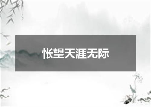 怅望天涯无际