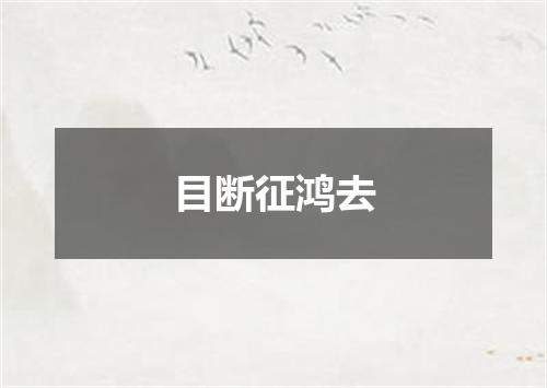 目断征鸿去