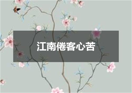 江南倦客心苦
