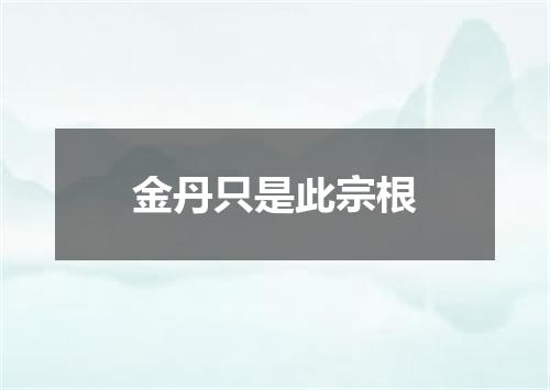 金丹只是此宗根