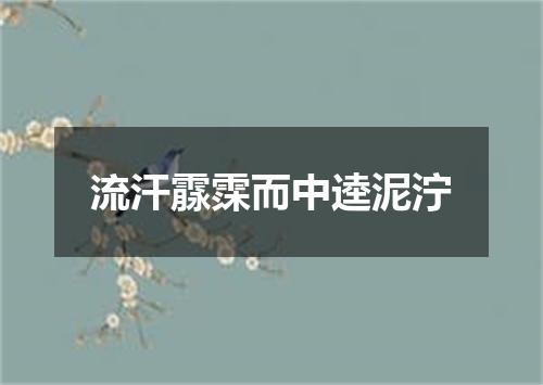 流汗霡霂而中逵泥泞