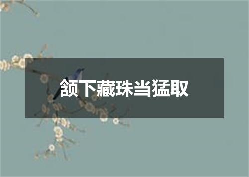 颔下藏珠当猛取