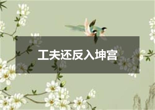 工夫还反入坤宫