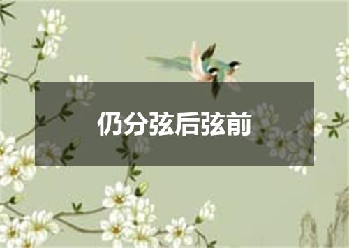 仍分弦后弦前