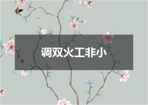 调双火工非小