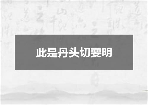 此是丹头切要明