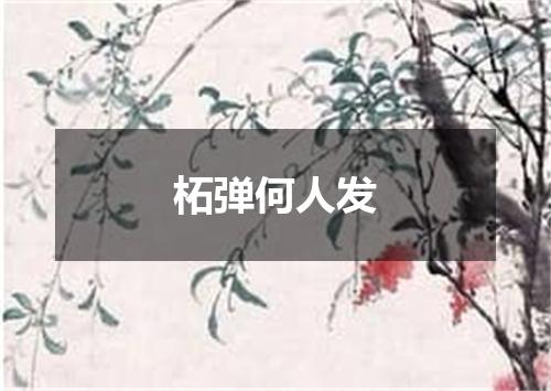 柘弹何人发