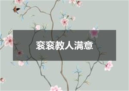 衮衮教人满意