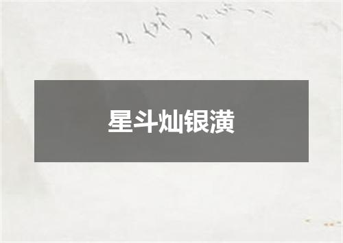 星斗灿银潢