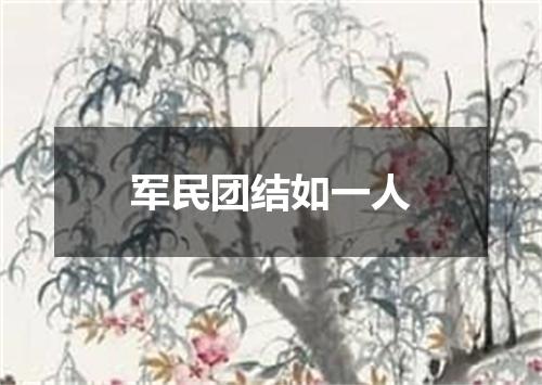 军民团结如一人