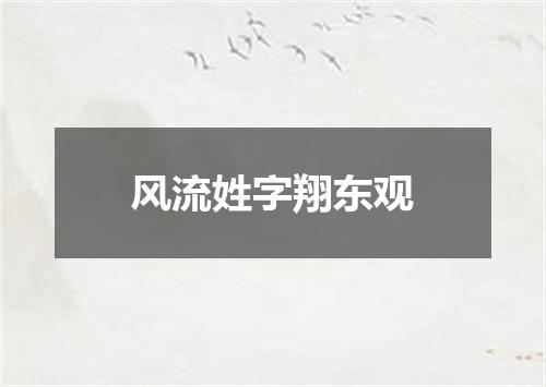 风流姓字翔东观