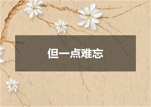 但一点难忘