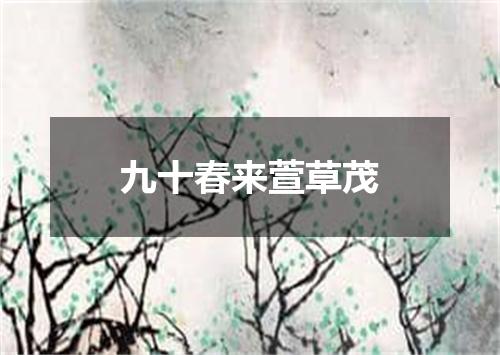 九十春来萱草茂