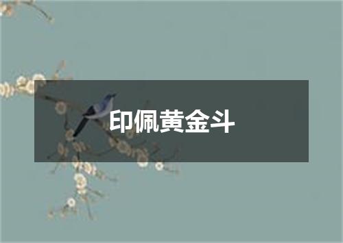 印佩黄金斗