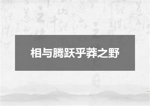 相与腾跃乎莽之野