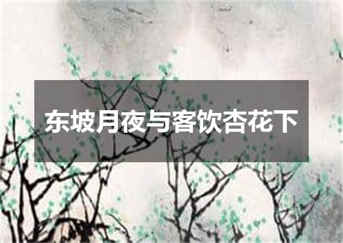 东坡月夜与客饮杏花下