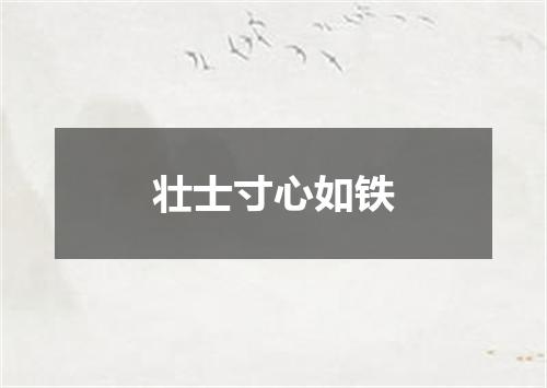 壮士寸心如铁