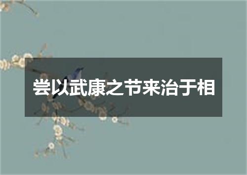尝以武康之节来治于相