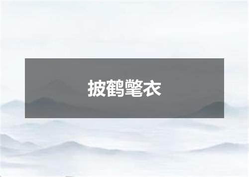 披鹤氅衣