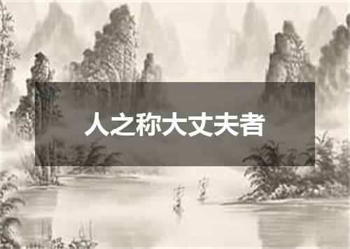 人之称大丈夫者