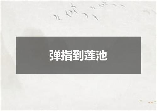 弹指到莲池