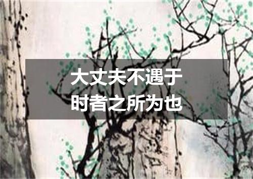 大丈夫不遇于时者之所为也