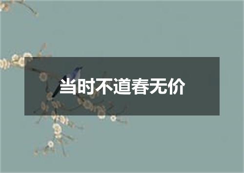 当时不道春无价