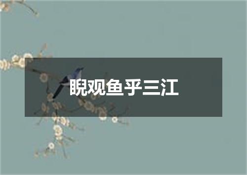 睨观鱼乎三江