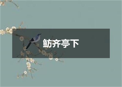 鲂齐亭下