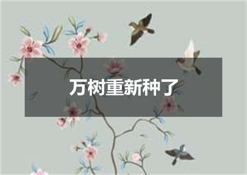 万树重新种了