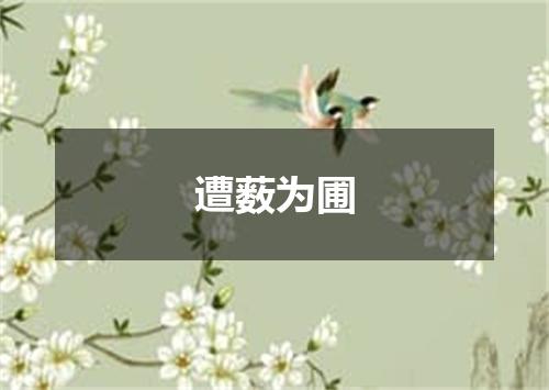 遭薮为圃
