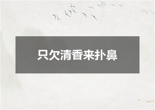 只欠清香来扑鼻