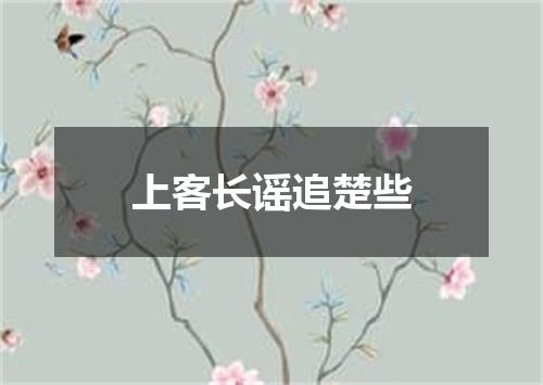 上客长谣追楚些
