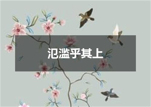 氾滥乎其上