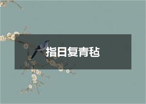 指日复青毡