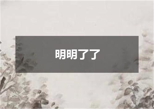 明明了了