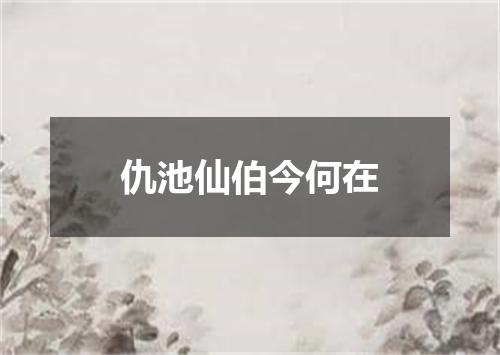 仇池仙伯今何在