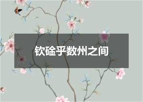 钦碒乎数州之间