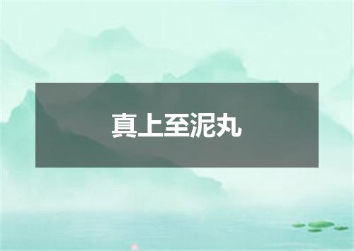 真上至泥丸