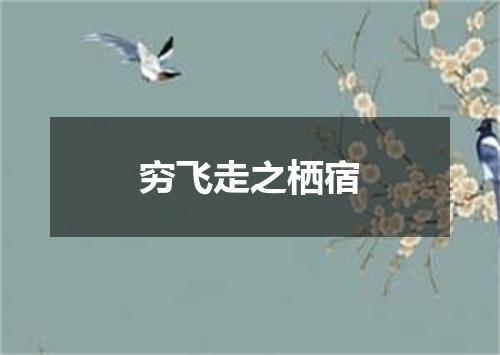穷飞走之栖宿