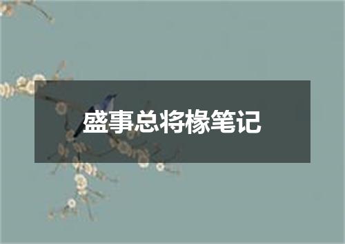 盛事总将椽笔记