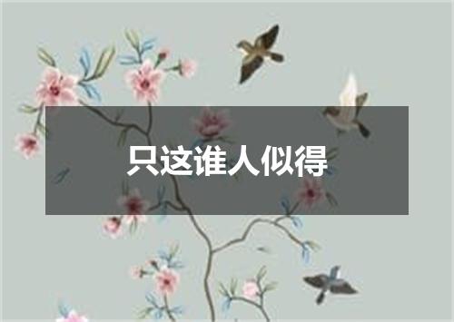 只这谁人似得