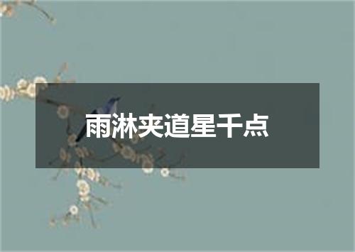 雨淋夹道星千点