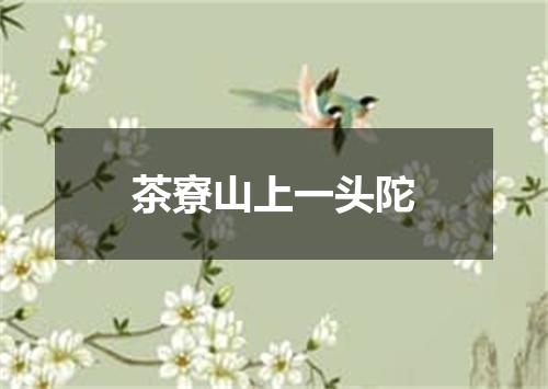 茶寮山上一头陀