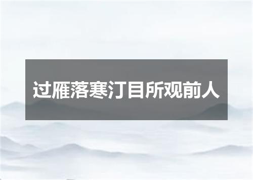 过雁落寒汀目所观前人